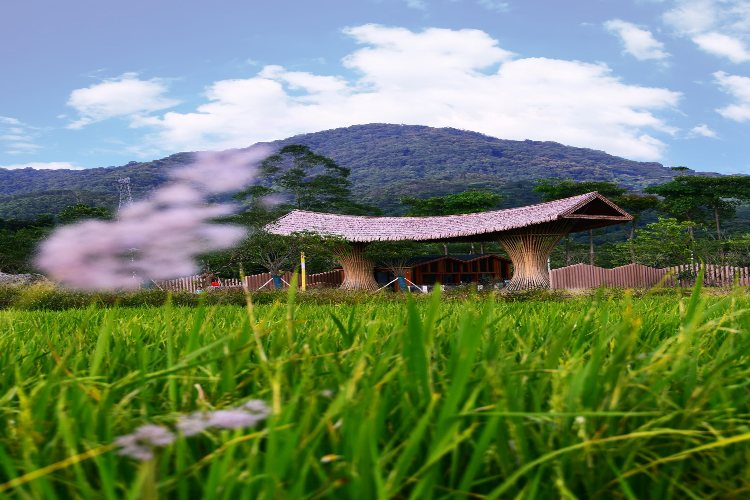 康辉旅游网【赞 轻奢】罗浮山浮生六季生态园望山民宿酒店3天2晚半自助游