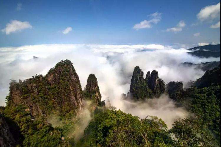 康辉旅游网<经典>广州往返 郴州专列 莽山森林公园 东江湖 瓦窑坪 裕后街 高铁3天