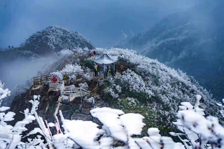 康辉旅游网【云海霜雪】广州往返清远金子山+莽山五指峰联游纯玩3天.升级一晚入住丽宫温泉酒店