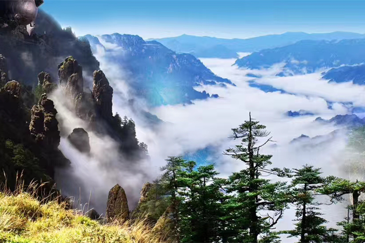 康辉旅游网<特惠 神龙飞雪> 广州往返 神农顶、神农架国际滑雪场、黄鹤楼、荆州古城双高五天