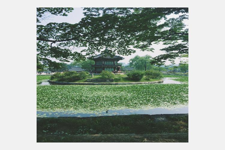 康辉旅游网爱尚韩国 首尔一地经典五日游-武汉起止