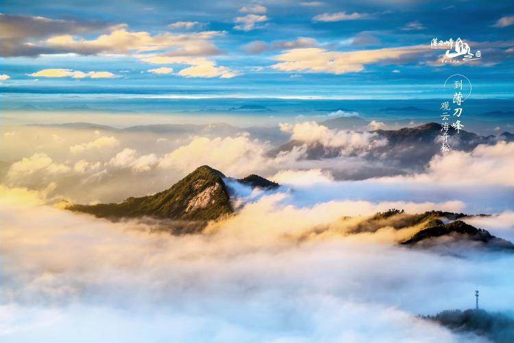 康辉旅游网【省内周边】罗田薄刀峰踏青散客一日游