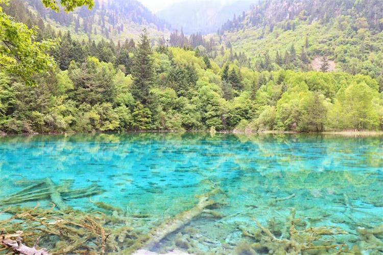 康辉旅游网<特惠> 广州往返成都 风驰九寨 黄龙、熊猫 三星堆 双飞+双动6天