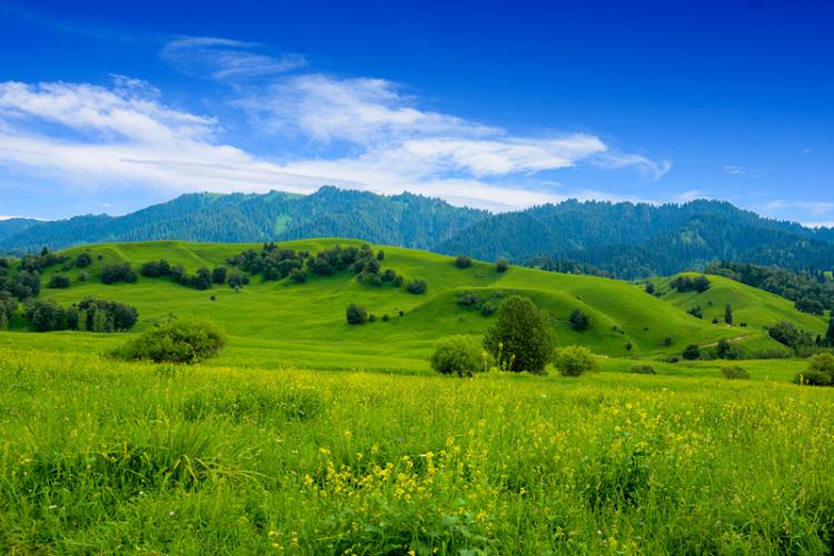 康辉旅游网<绝色新哈边境游>广州往返 新疆+哈萨克斯坦联游 纯玩 双卧12天