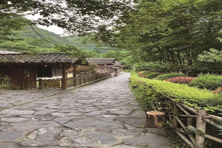 康辉旅游网潮汕出发漳州灵龙谷探秘南山古城登灵通山2天1晚跟团游<祈福灵通岩秘境灵龙谷>