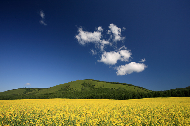 康辉旅游网潮汕出发-黑龙江+漠河北极+呼伦贝尔+大兴安岭山双飞8天7晚跟团游<海漠之旅>