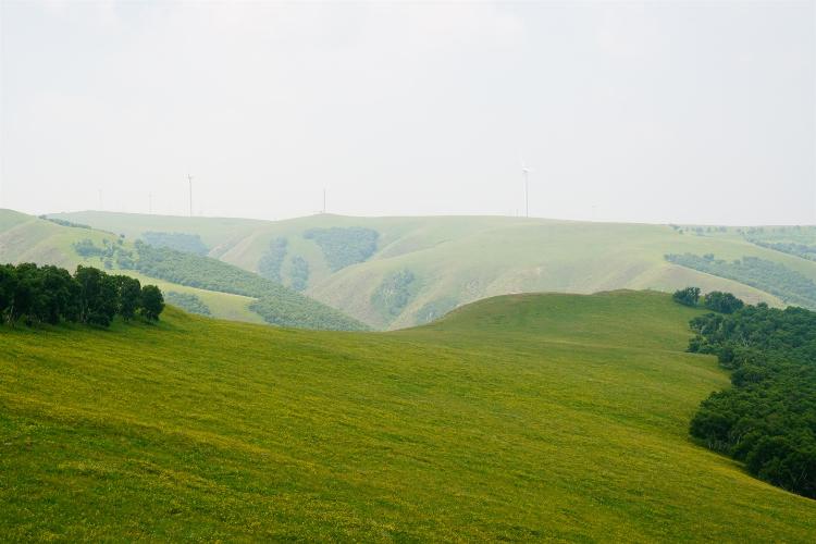 康辉旅游网<特惠>仙螺跨海 北戴河 承德 木兰围场乌兰布统大草原 纯玩6日游
