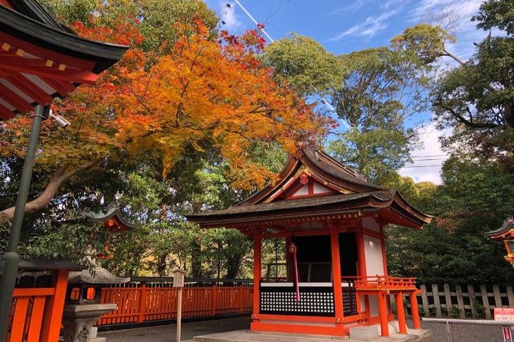 康辉旅游网潮汕出发-日本本州双乐园双古都6日5晚跟团游<暑假亲子游>