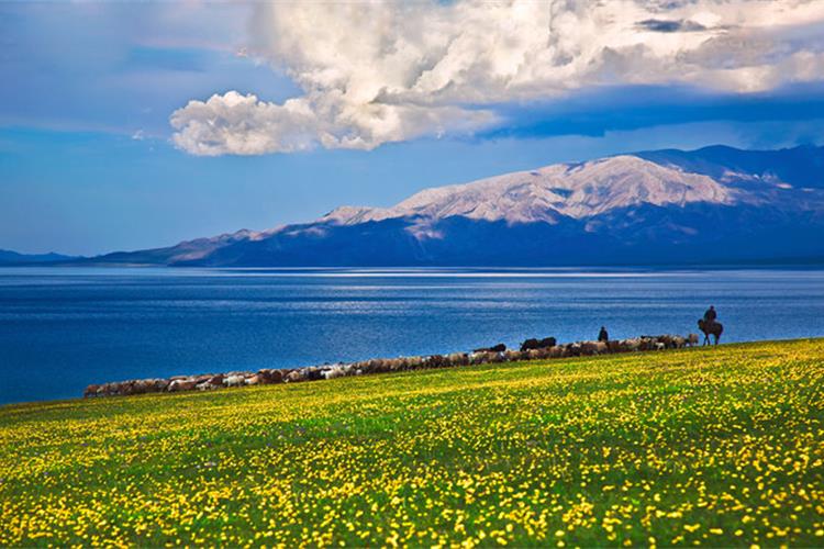 康辉旅游网<经典·北疆之星>广州出发，喀纳斯、赛里木湖双飞8天