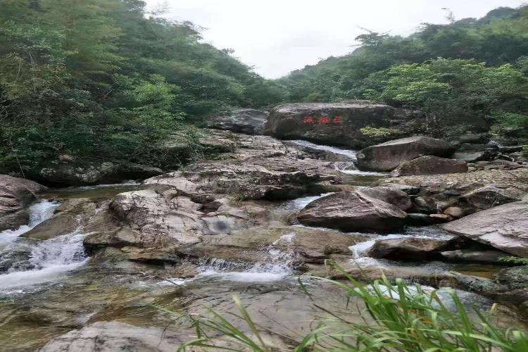 康辉旅游网（泼水节）从化流溪河森林公园，溪头村纯玩1天游