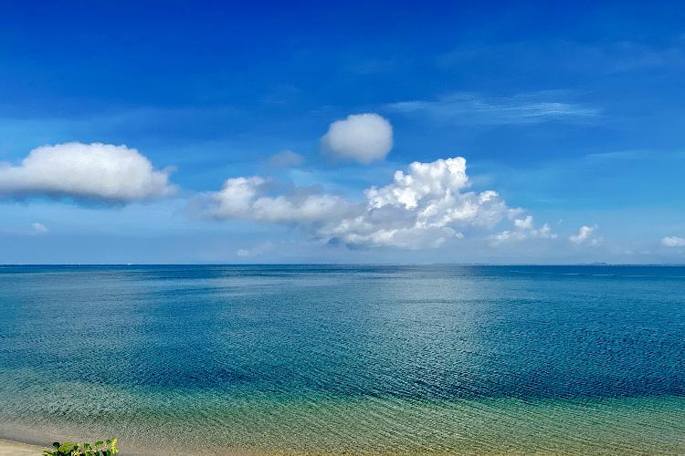 康辉旅游网8月14日茂名放鸡岛·湛江开渔节纯玩3天