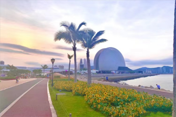 康辉旅游网【观澳门烟花节】深圳+珠海1天（体验深中通道 赏湾区醉美日落）