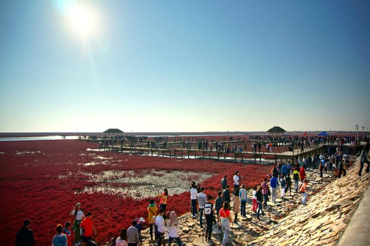 康辉旅游网<秋摄漠北>广州往返辽宁+吉林+黑龙江+红海滩+漠河北极村+四卧12天 沈进哈出