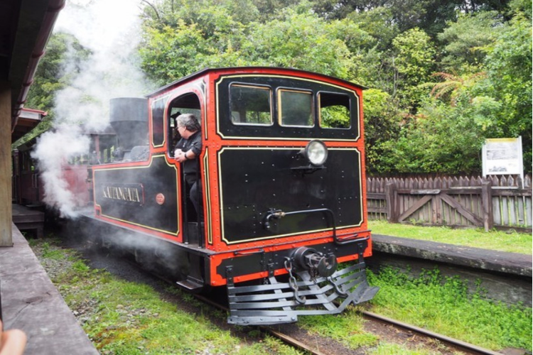 康辉旅游网<佛山出发>【深中通道】 深圳华侨城小火车·西湾红树林·中英街一天