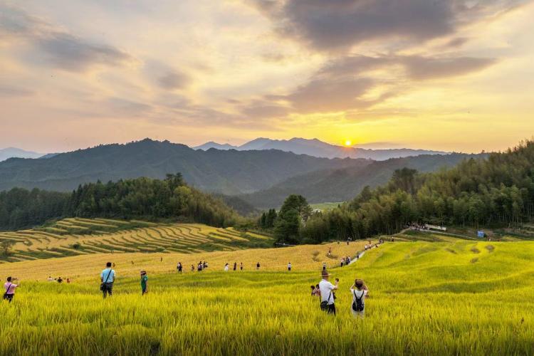 康辉旅游网<欧家梯田+银杏>广州往返清远连山欧家梯田+油岭瑶寨+石漠公园银杏纯玩2天