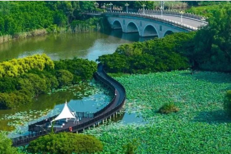 康辉旅游网<广州出发>南沙湿地公园、南沙深中通道、十四涌海鲜市场、西湾红树林1日游