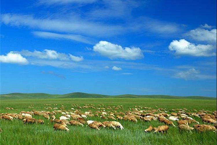 康辉旅游网<特惠>广州往返 希拉穆仁草原、响沙湾、内蒙古博物馆+叹养生温泉双飞5天