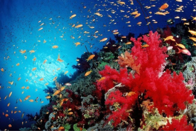 康辉旅游网埃及土耳其全景游五飞16天（埃及航空广州往返+纯玩+全程五星）