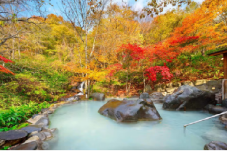 康辉旅游网<经典日本>日本北海道秋景6天游（深圳往返）