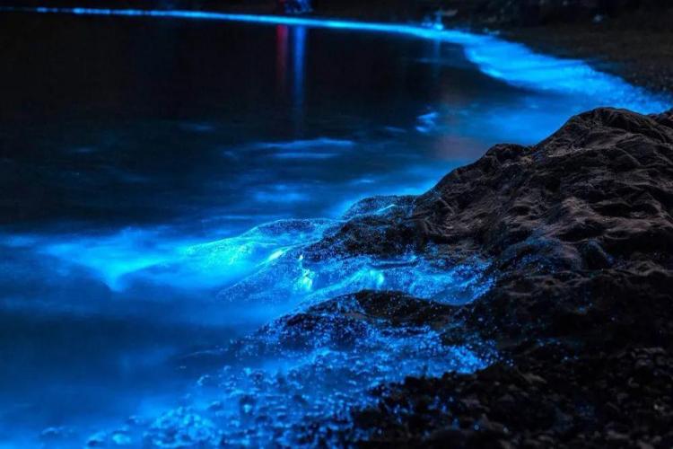 康辉旅游网<经典烟火泉州追梦平潭>广州往返追泪平潭、猴研岛、大姆山草场双动4天