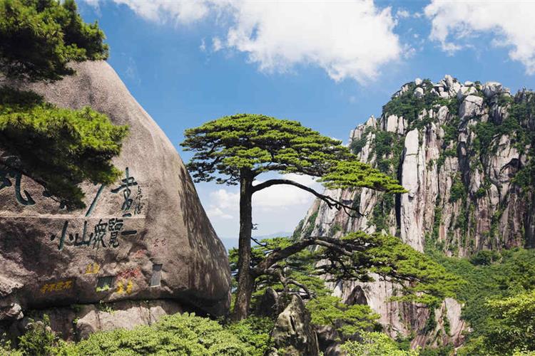 康辉旅游网广州出发黄山，大美黄山、宏村、婺源篁岭、 徽州古城、屯溪老街双飞五天