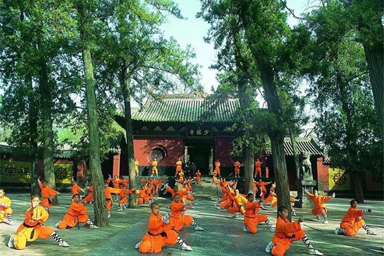 康辉旅游网<必发>闪耀河南 少林寺.龙门石窟.老君山.云台山 双高7天
