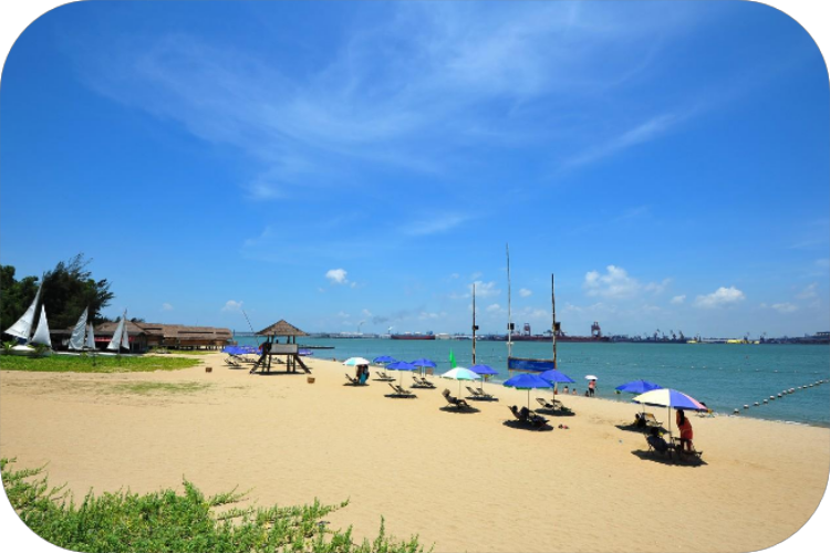 康辉旅游网湛江金沙湾、赤坎老街、柏桥服务区、连住2晚湛江五星白天鹅酒店、纯玩3天、吃足8餐