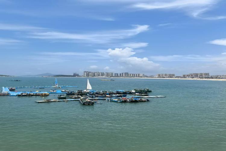 康辉旅游网广州往返东山岛夜捕小管、田螺坑土楼、潮州古城双动4天，东海渔仓·东山岛开渔节