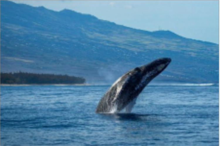 康辉旅游网广州直飞雨林礁韵探奇6晚8天