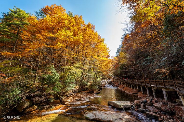 康辉旅游网<旅展遇见> <山城光雾山>广州往返重庆、米仓山、十八月潭、洪崖洞纯玩双飞5天