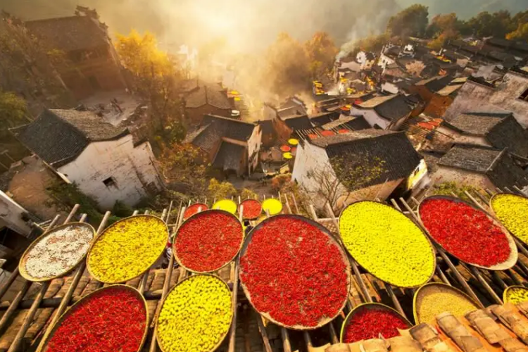 康辉旅游网<特惠徽州秋色>广州出发，望仙谷、鄱阳湖、篁岭古村、塔川、滕王阁、婺女洲双高5天