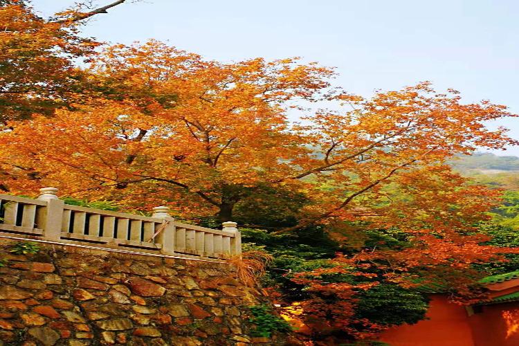 康辉旅游网【国庆不加价】广州往返江门新会圭峰山登高吸氧、品牛肉火锅宴、游陈皮村1天