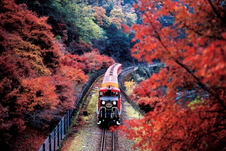 康辉旅游网<自营日本>日本本州全景赏枫双飞6天（广州东阪）