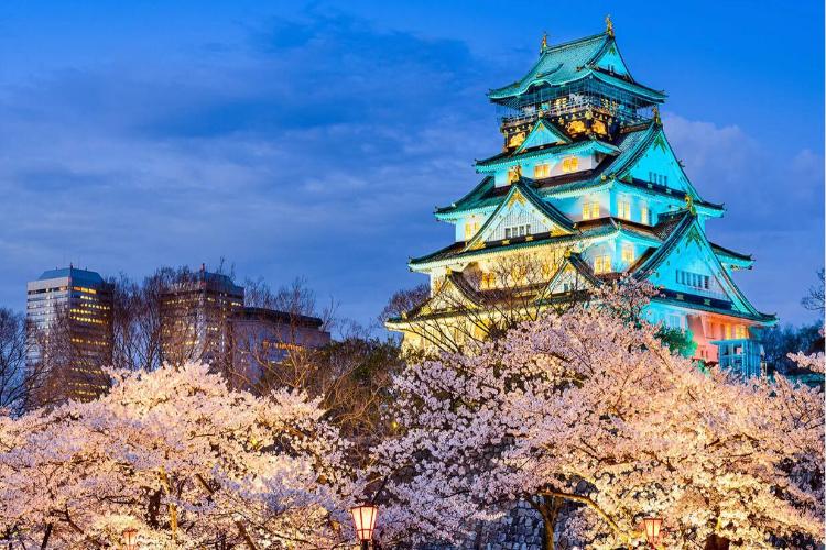 康辉旅游网<经典日本>东京&大阪双自由6天半自助深度游（广州阪东）