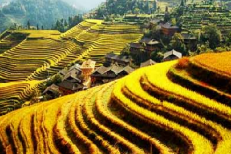 康辉旅游网<经典国庆>ZM龙脊神韵 龙脊梯田、黄洛瑶寨、兴坪漓江、银子岩动车4天