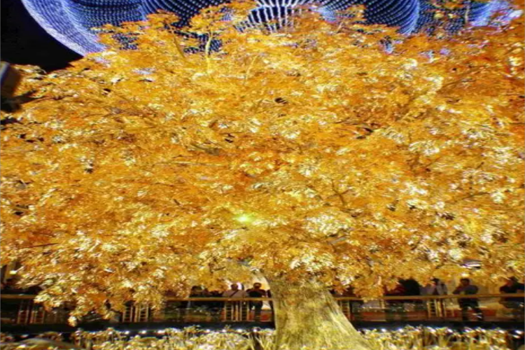 康辉旅游网澳门看发财树，观夜景甄选观光两天07线（含2餐）